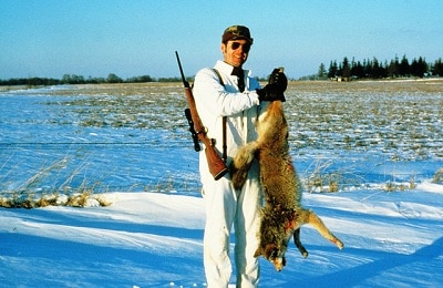 Hunting a Coyote? Let’s Find How to Trap a Coyote